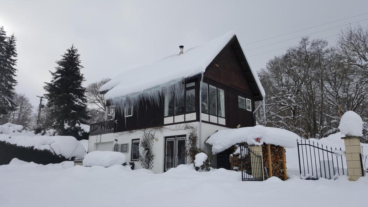 Ferienwohnung Le Puy D'Ance Chastreix Exterior foto